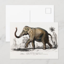 Postal Ilustracion de elefantes asiáticos de la época de 