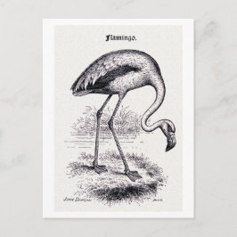 Postal ilustracion de época "Flamingo"