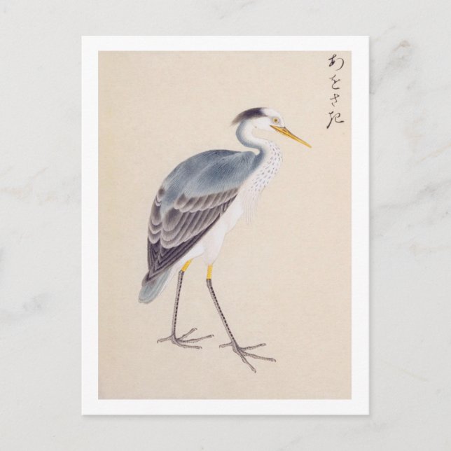 Postal Ilustracion de época: garza gris (Anverso)