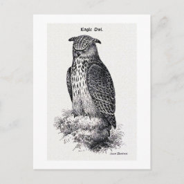 Postal ilustracion de época "Lechuza Águila"