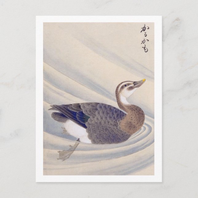 Postal Ilustracion de época: pato al horno (Anverso)