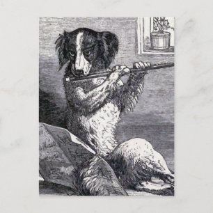 Postal ilustracion de época "Perro jugando a la flauta"