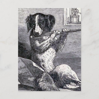 Postal ilustracion de época "Perro jugando a la flauta"