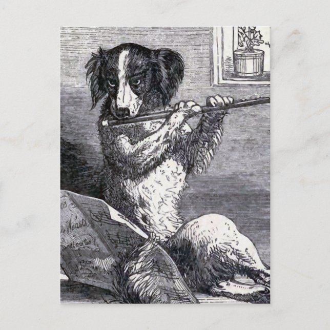 Postal ilustracion de época "Perro jugando a la flauta" (Anverso)