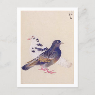 Postal Ilustracion de época: pichón