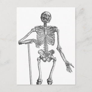 Postal Ilustración de esqueleto excavando