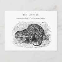 Ilustración de fauna y flora vintage de leopardo