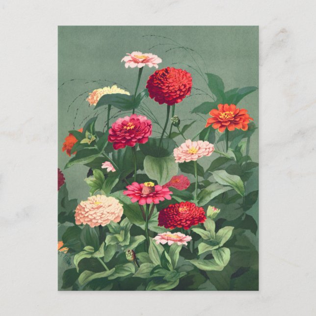 Postal Ilustracion de flores de época (Anverso)