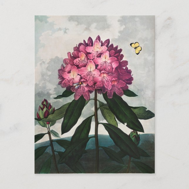 Postal Ilustración de flores vintage (Anverso)