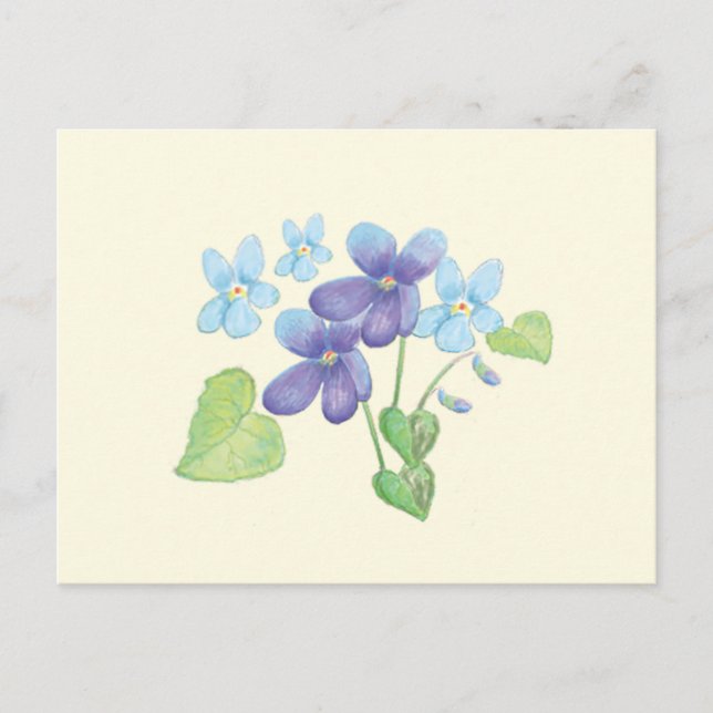 Postal Ilustracion de flores violetas silvestres (Anverso)