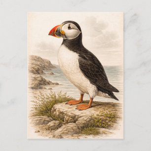 Postal Ilustración de frailecillo de estilo vintage