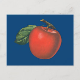 Postal Ilustracion de fruta de Apple vintage