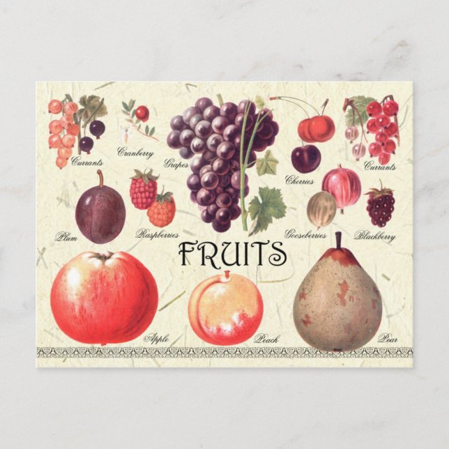 Postal Ilustracion de frutas (Anverso)