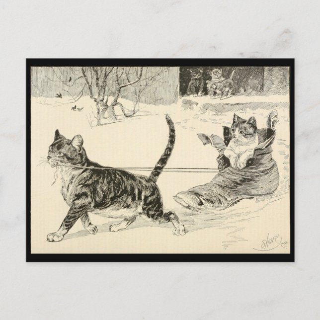 Postal Ilustracion de gato antiguo 1883, paseo divertido  (Anverso)