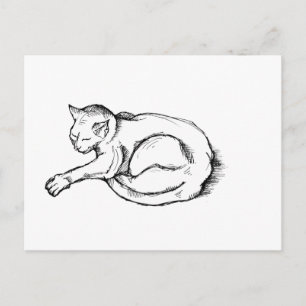 Postal Ilustración de gato durmiendo, arte de dibujo a pl