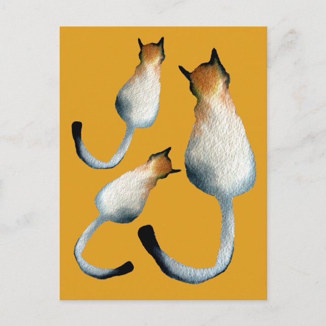 Postal Ilustracion de gato negro y marrón tabby (Anverso)