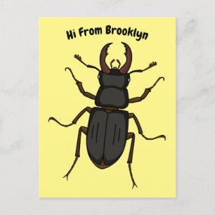 Postal Ilustracion de insectos Stag