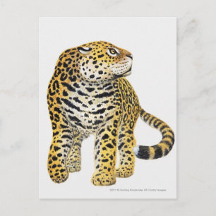 Postal Ilustracion de Jaguar con la cabeza en perfil