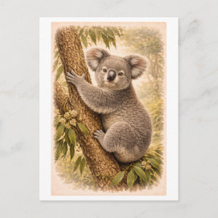 Postal Ilustración de koala al estilo vintage