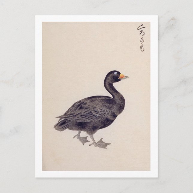 Postal Ilustracion de la cosecha: escudo común (Anverso)