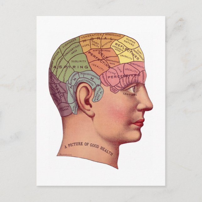 Postal Ilustracion de la función del cerebro ventilado (Anverso)