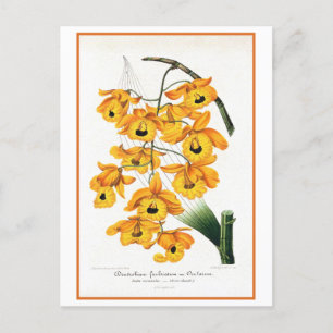 Postal Ilustracion de la orquídea amarilla tropical