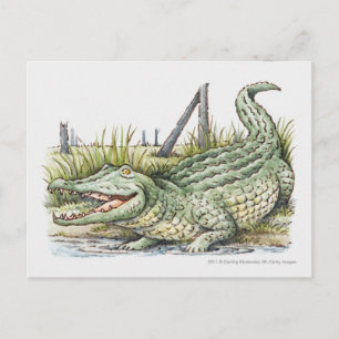 Postal Ilustracion de lagarto en la orilla