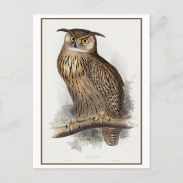 Postal Ilustracion de Lechuza Águila por Edward Lear