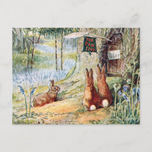 Postal Ilustracion de libros para niños de conejo vintage