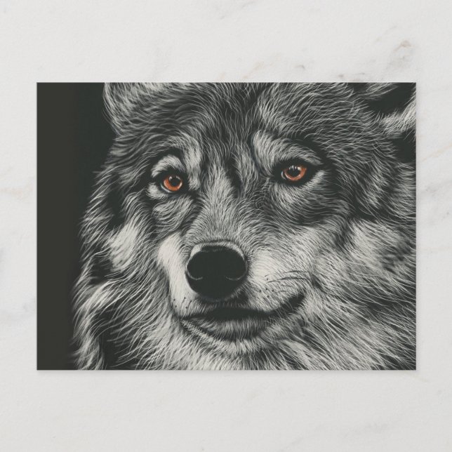 Postal Ilustracion de lobo blanco y negro (Anverso)