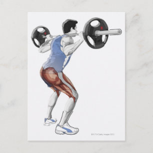 Postal Ilustracion de los músculos utilizados por el homb