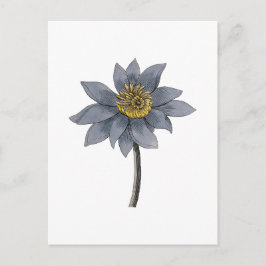 Postal Ilustración de loto azul dibujada a mano