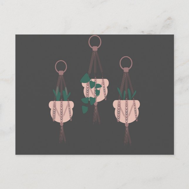 Postal Ilustración de macramé de macetas colgantes para p (Anverso)