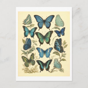 Postal Ilustración de mariposa azul de estilo vintage
