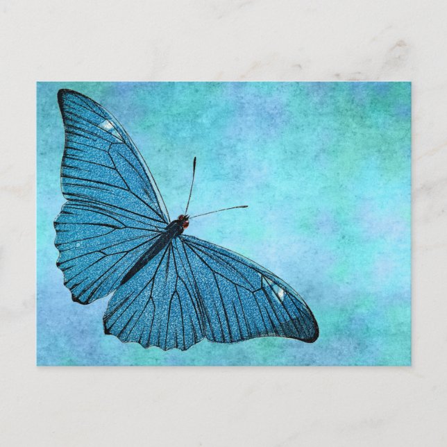 Postal Ilustracion de mariposa azul Verde azulada de époc (Anverso)