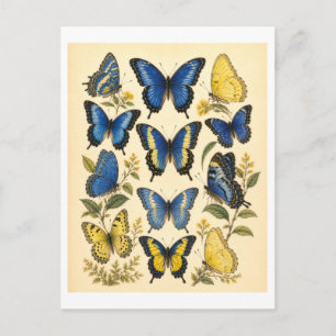 Postal Ilustración de mariposa azul y amarilla de estilo 