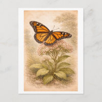Ilustración de mariposa monarca al estilo vintage