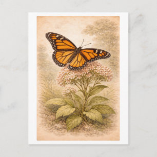Postal Ilustración de mariposa monarca al estilo vintage