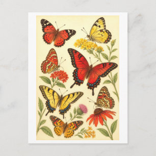 Postal Ilustración de mariposa roja y amarilla de estilo 
