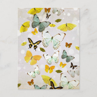 Postal Ilustracion de mariposas