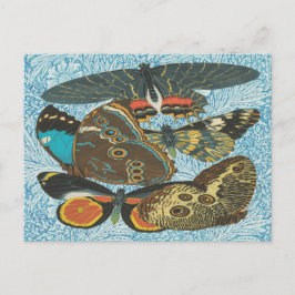 Postal Ilustracion de mariposas antiguas de Francia-2