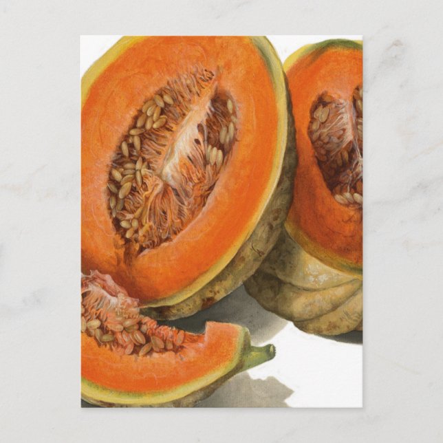 Postal Ilustracion de melón cantaloupe en rodajas (Anverso)