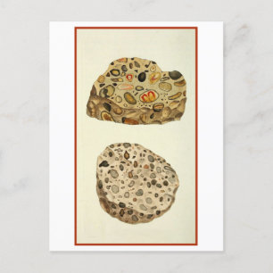 Postal Ilustracion de Mineralogía de Piedra de Pudding Qu