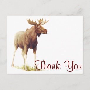 Postal Ilustracion De Moose Vintage, Dibujo Animal