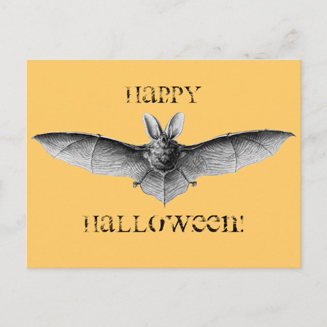 Postal Ilustración de murciélago vintage (Anverso)
