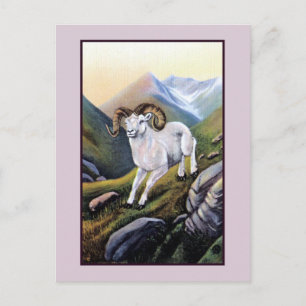 Postal Ilustracion de ovejas de montaña blancas Retro Ala