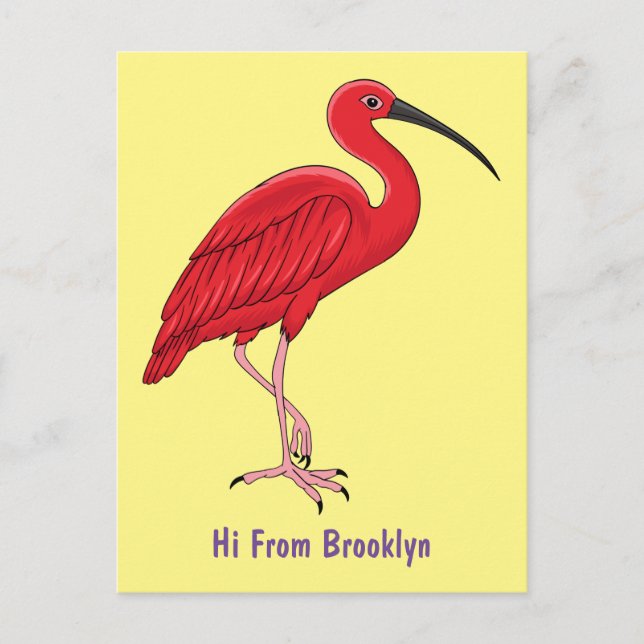 Postal Ilustracion de pájaro ibis de escarlata personaliz (Anverso)