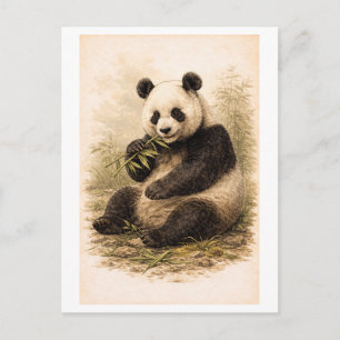 Postal Ilustración de panda al estilo vintage