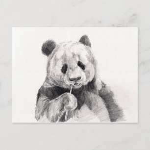 Postal Ilustracion de Panda blanco y negro