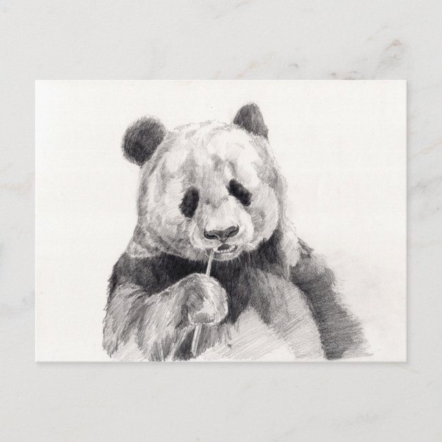 Postal Ilustracion de Panda blanco y negro (Anverso)